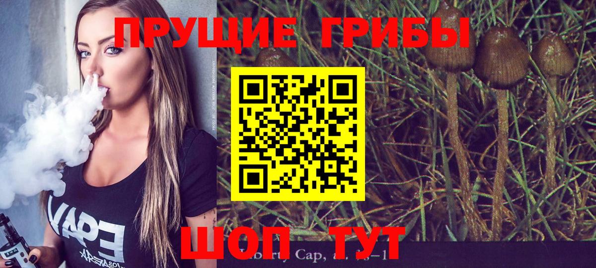 Среднеуральск  Псилоцибиновые грибы Magic Shrooms  Вход с VPN 