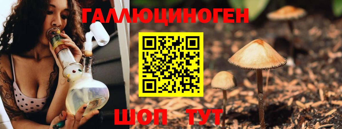 Галлюциногенные грибы Psilocybine cubensis Среднеуральск
